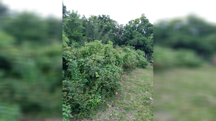 Ma-Cabane - Vente Terrain Le Diamant, 4282 m²