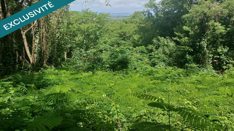 Ma-Cabane - Vente Terrain Le Diamant, 1358 m²