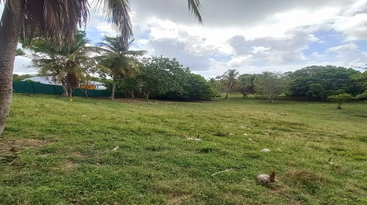 Ma-Cabane - Vente Terrain LE GOSIER, 968 m²