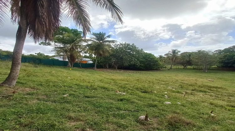 Ma-Cabane - Vente Terrain LE GOSIER, 968 m²