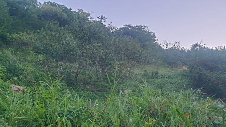 Ma-Cabane - Vente Terrain LE GOSIER, 2000 m²