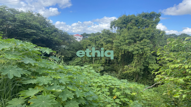 Ma-Cabane - Vente Terrain Le Gosier, 815 m²