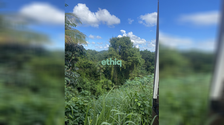 Ma-Cabane - Vente Terrain Le Gosier, 815 m²