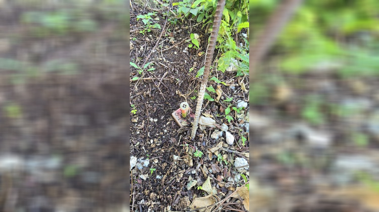 Ma-Cabane - Vente Terrain LE GOSIER, 3000 m²