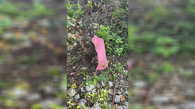 Ma-Cabane - Vente Terrain LE GOSIER, 3000 m²