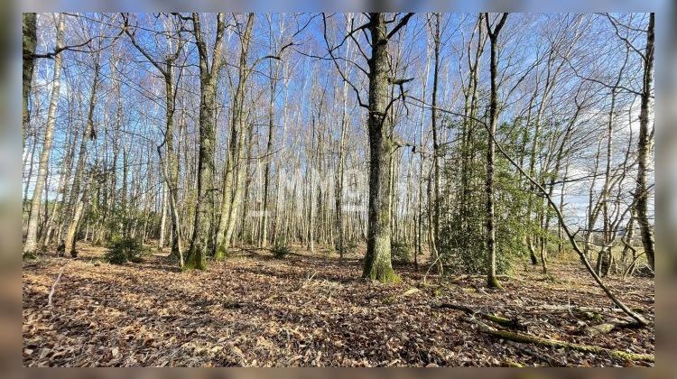 Ma-Cabane - Vente Terrain Le Grand-Lucé, 3600 m²