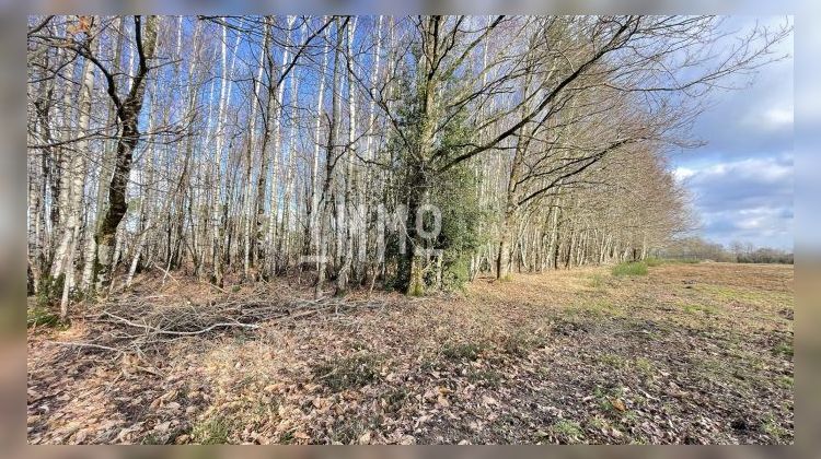 Ma-Cabane - Vente Terrain Le Grand-Lucé, 3600 m²