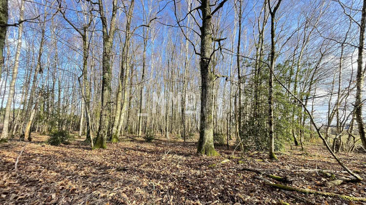 Ma-Cabane - Vente Terrain Le Grand-Lucé, 3600 m²