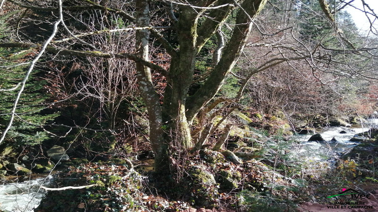 Ma-Cabane - Vente Terrain Le Hohwald, 355 m²