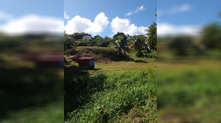 Ma-Cabane - Vente Terrain Le Lamentin, 2332 m²