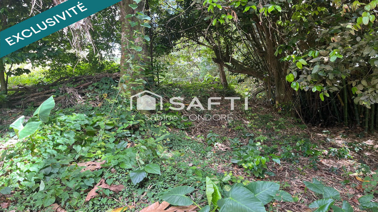 Ma-Cabane - Vente Terrain Le Lamentin, 1563 m²