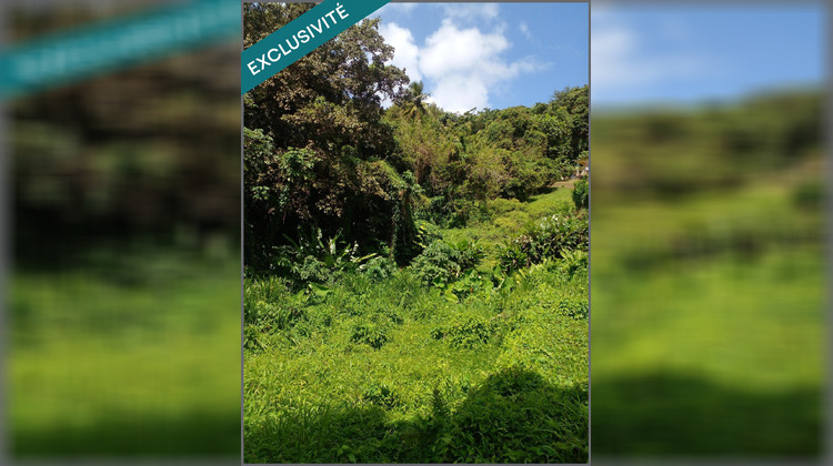 Ma-Cabane - Vente Terrain Le Lamentin, 3030 m²