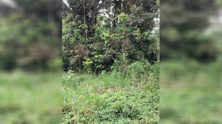 Ma-Cabane - Vente Terrain Le Lamentin, 5000 m²