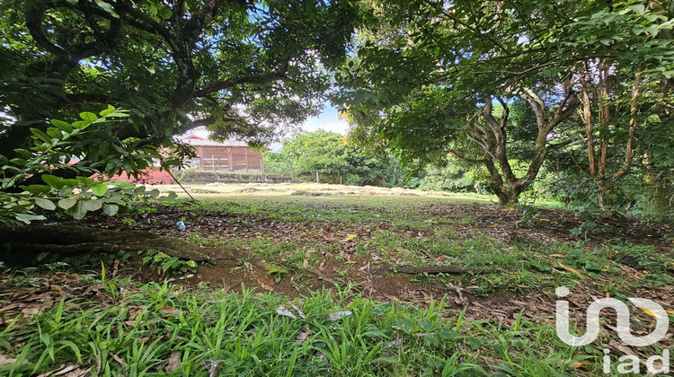Ma-Cabane - Vente Terrain Le Lamentin, 1061 m²
