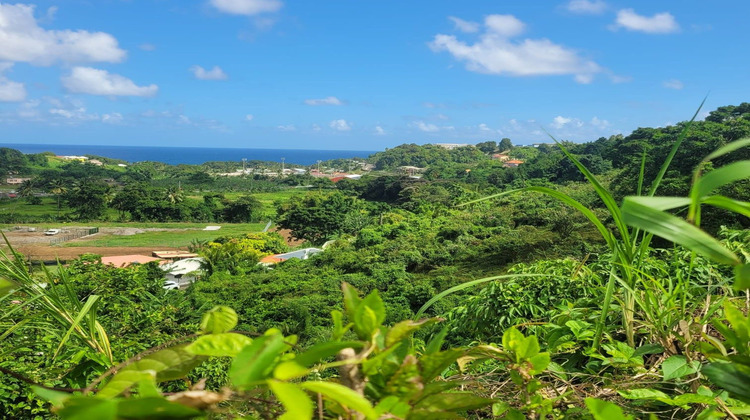 Ma-Cabane - Vente Terrain LE LORRAIN, 1100 m²