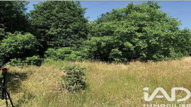 Ma-Cabane - Vente Terrain Le Mans, 713 m²