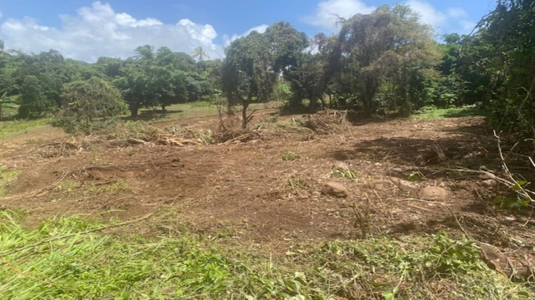 Ma-Cabane - Vente Terrain LE MARIN, 1628 m²