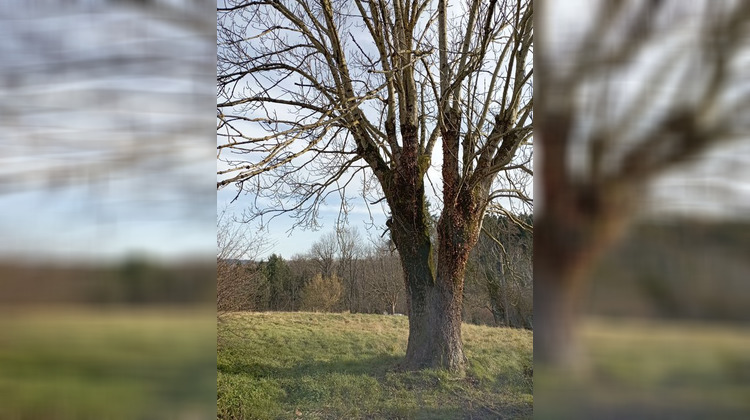 Ma-Cabane - Vente Terrain LE MAYET DE MONTAGNE, 2250 m²