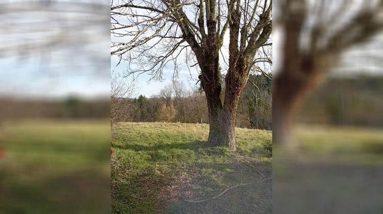 Ma-Cabane - Vente Terrain LE MAYET DE MONTAGNE, 2250 m²