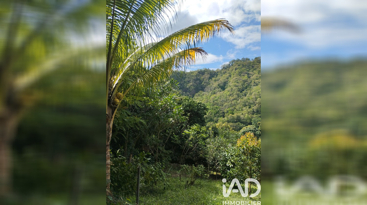 Ma-Cabane - Vente Terrain Le Morne-Vert, 1100 m²
