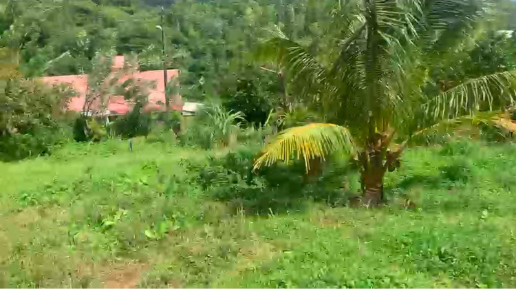 Ma-Cabane - Vente Terrain LE MORNE VERT, 1494 m²