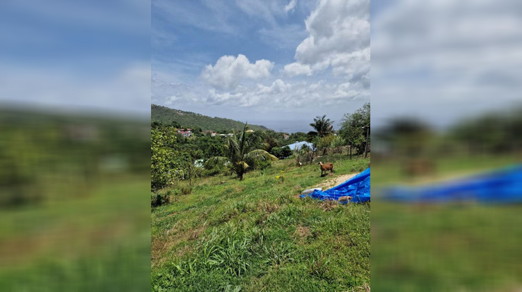 Ma-Cabane - Vente Terrain LE MORNE VERT, 1494 m²