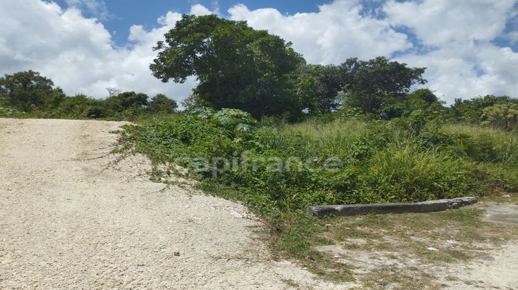 Ma-Cabane - Vente Terrain LE MOULE, 1574 m²