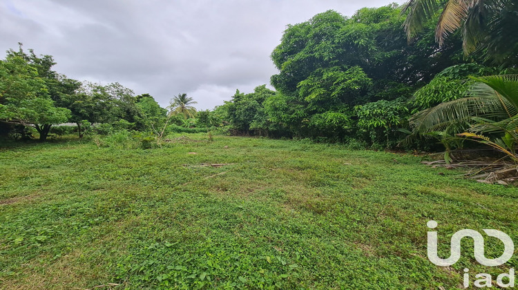 Ma-Cabane - Vente Terrain Le Moule, 1196 m²