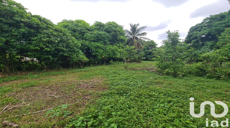 Ma-Cabane - Vente Terrain Le Moule, 1196 m²