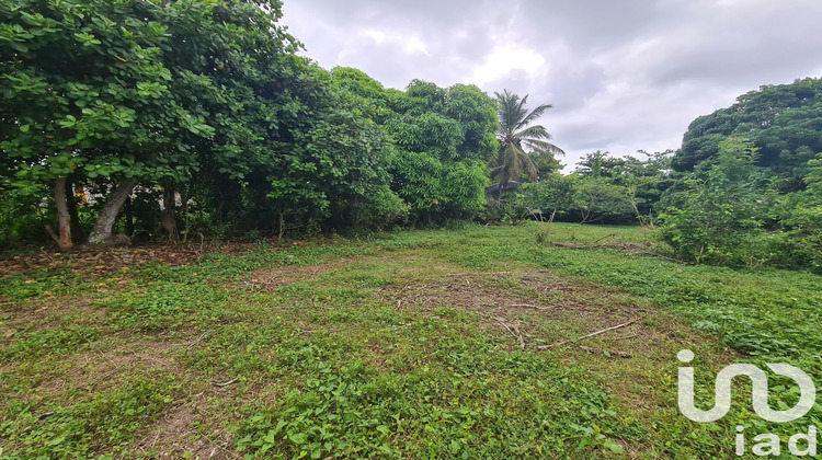 Ma-Cabane - Vente Terrain Le Moule, 1196 m²