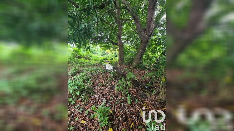 Ma-Cabane - Vente Terrain Le Moule, 1196 m²