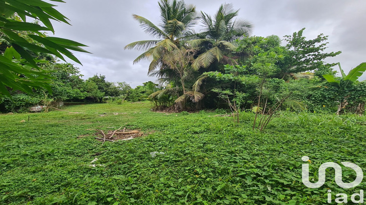 Ma-Cabane - Vente Terrain Le Moule, 1196 m²
