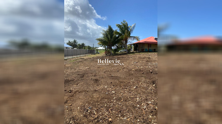 Ma-Cabane - Vente Terrain Le Moule, 724 m²