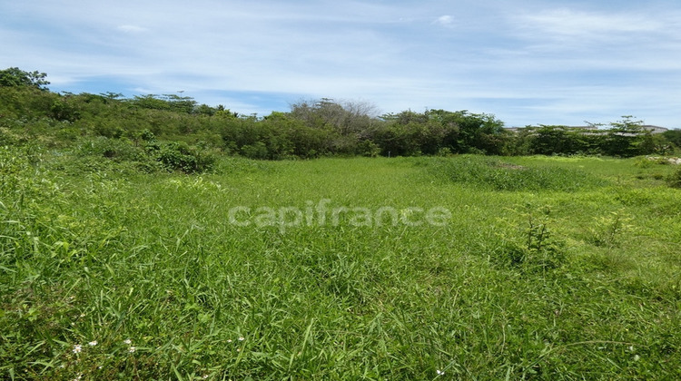 Ma-Cabane - Vente Terrain LE MOULE, 1811 m²