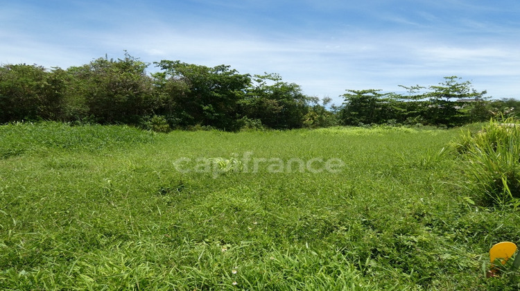 Ma-Cabane - Vente Terrain LE MOULE, 1811 m²