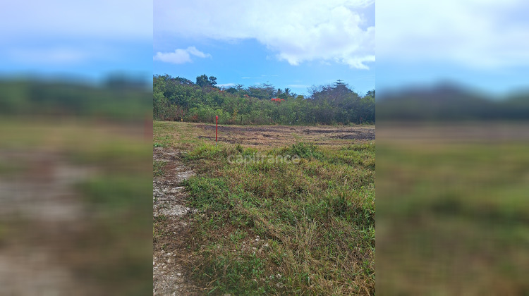 Ma-Cabane - Vente Terrain LE MOULE, 1811 m²