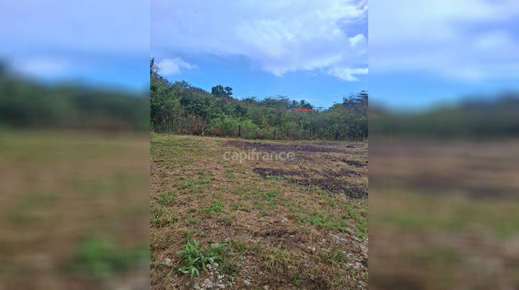 Ma-Cabane - Vente Terrain LE MOULE, 1811 m²
