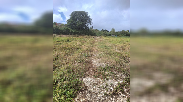 Ma-Cabane - Vente Terrain LE MOULE, 1811 m²