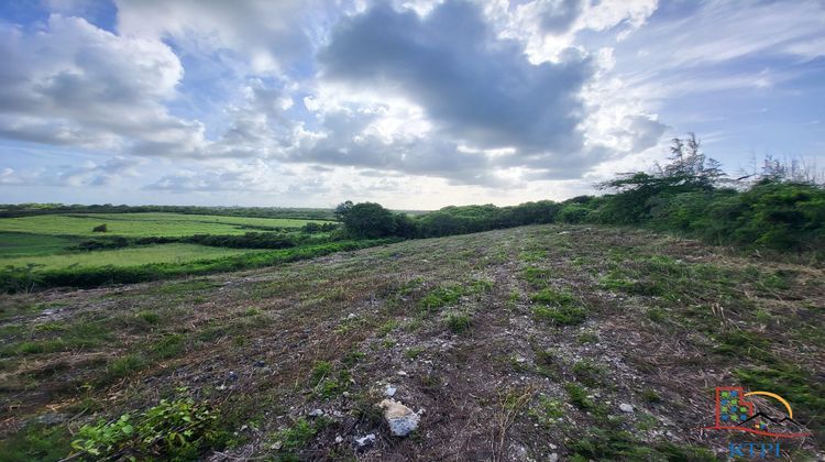 Ma-Cabane - Vente Terrain Le Moule, 800 m²
