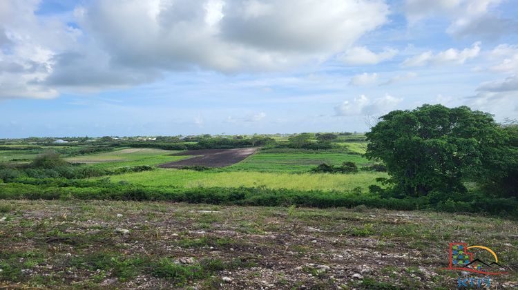 Ma-Cabane - Vente Terrain Le Moule, 800 m²