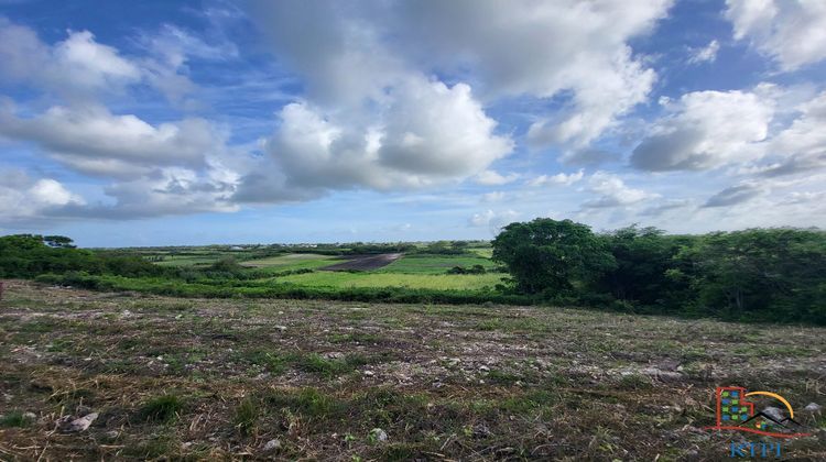 Ma-Cabane - Vente Terrain Le Moule, 800 m²