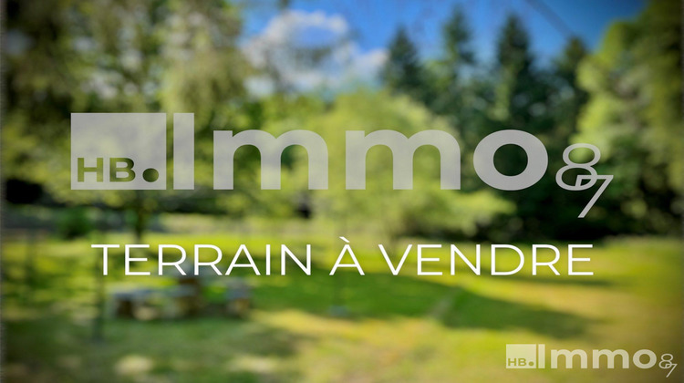 Ma-Cabane - Vente Terrain Le Palais-sur-Vienne, 540 m²