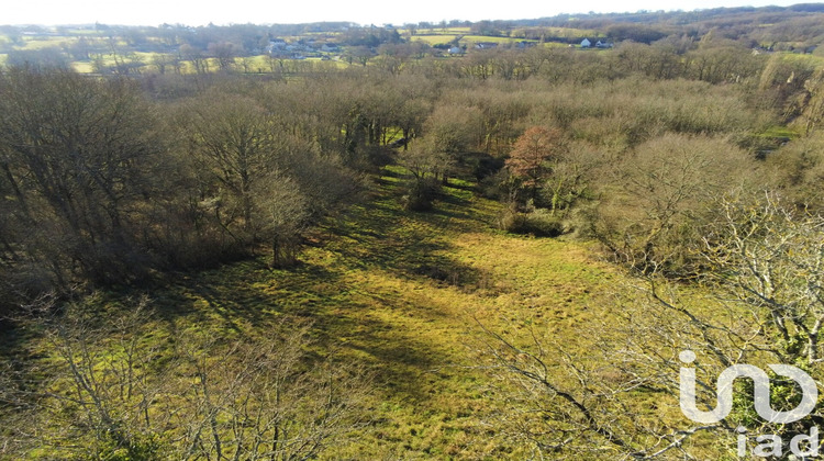 Ma-Cabane - Vente Terrain Le Pêchereau, 7051 m²