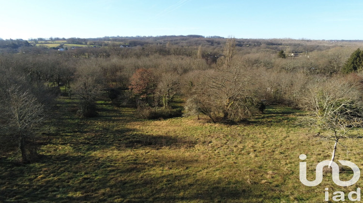 Ma-Cabane - Vente Terrain Le Pêchereau, 7051 m²