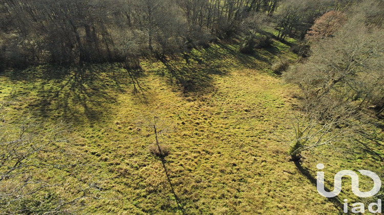 Ma-Cabane - Vente Terrain Le Pêchereau, 7051 m²