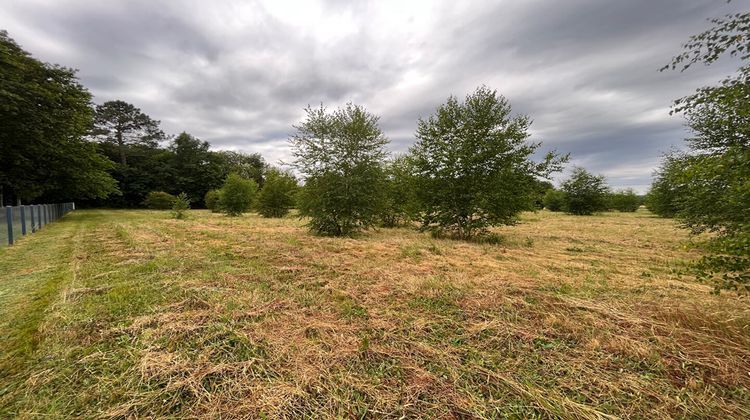 Ma-Cabane - Vente Terrain LE PIZOU, 2947 m²