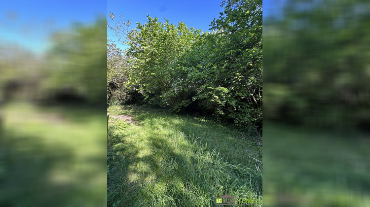 Ma-Cabane - Vente Terrain Le Plessis-Robinson, 645 m²