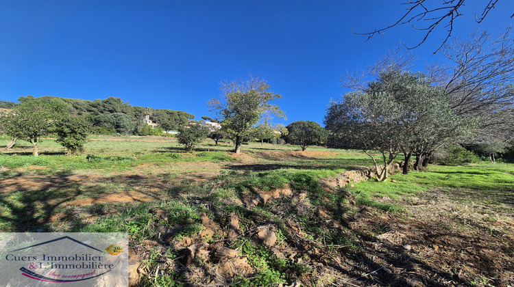 Ma-Cabane - Vente Terrain Le Pradet, 610 m²