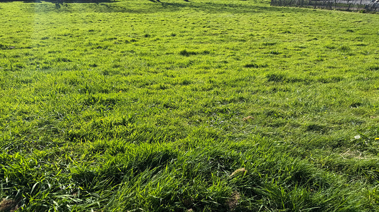 Ma-Cabane - Vente Terrain LE RELECQ-KERHUON, 490 m²