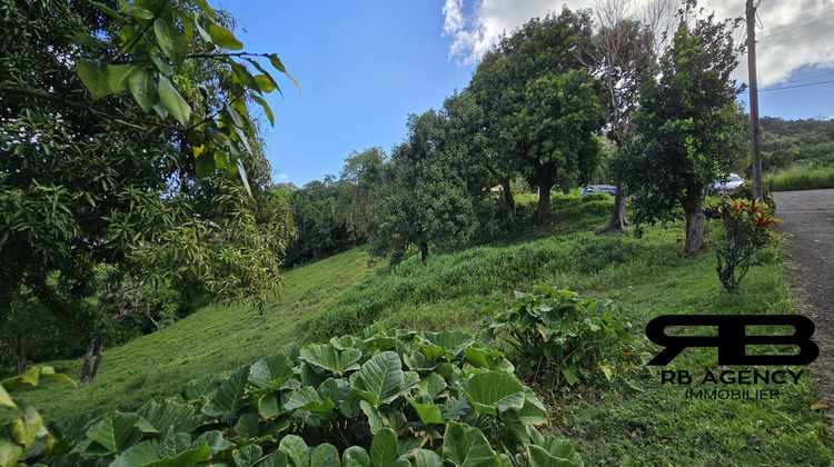 Ma-Cabane - Vente Terrain Le Robert, 1331 m²